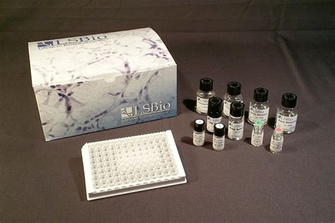 Angiotensin II ELISA Kits 